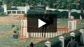 XXIV Semana Equestre Militar